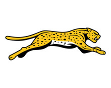 Cheetahs Run