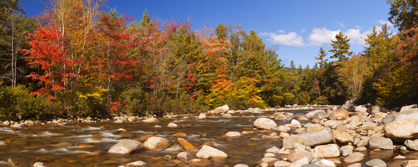 river through fall foliage, swift river, new hampshire, usa