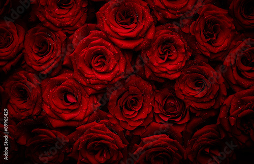 Roses with drops of water