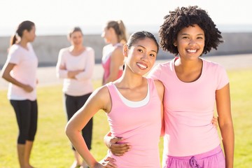 Wall Mural - Smiling young women wearing pink for breast cancer