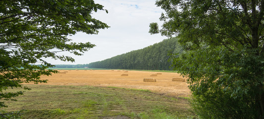 Canvas Print - Packs of straw on a golden stubble field