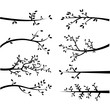 © alexaz - Branch Silhouettes