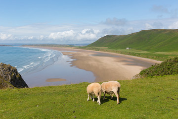 Wall Mural - Rhossili beach The Gower South Wales uk in summer