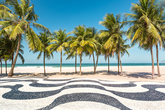 palm trees and the iconic copacabana beach mosaic sidewalk, in rio de janeiro, brazil.