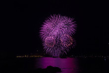 Purple Fireworks