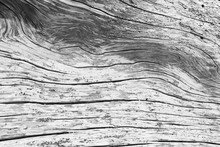 Driftwood Abstract Pattern