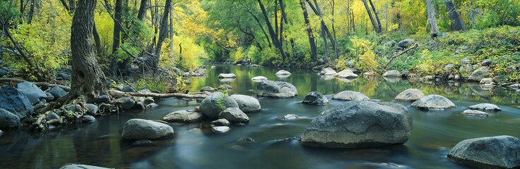 Wall Mural - Stream in Cottonwood Canyon, Sedona, Arizona