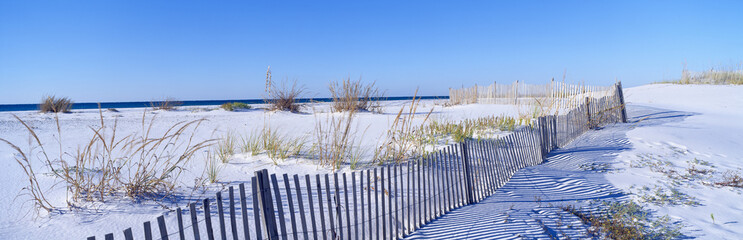 Wall Mural - Sea oats and fence along white sand beach at Santa Rosa Island near Pensacola, Florida