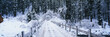 This is a small snow covered road after a winter snow storm. The road in front is a bridge with visible tire tracks from a car that has crossed the bridge.