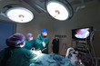 © nimon_t - group of veterinarian doctor in operation room for laparoscopic surgical