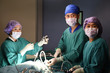 © nimon_t - group of veterinarian surgery in operation room