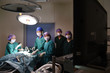 © nimon_t - group of veterinarian surgery in operation room