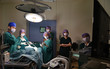 © nimon_t - group of veterinarian surgery in operation room