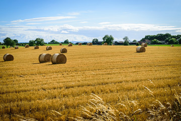 Straw bales in a field with blue and white sky in autumn