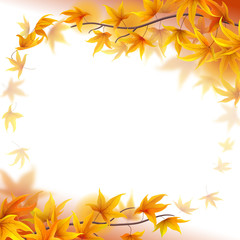 Wall Mural - autumn branches with maple leaves on white background