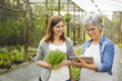 © ikostudio - Worker and customer in a green house