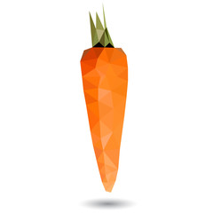 Wall Mural - Vector illustration of a carrot