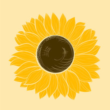 Beautiful Sunflower Isolated On A White Background. Hand-drawn Contour Lines And Strokes.