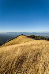 Wall Mural - The summit of Mount Pratomagno in Tuscany (Italy). A particular mountain whose peak is constituted by a large lawn area with little vegetation.