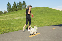Beautiful Young Woman Jogging With Her Dog