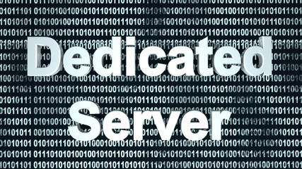 Dedicated Server binary background.