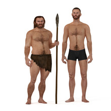 Neanderthal Vs Modern Human