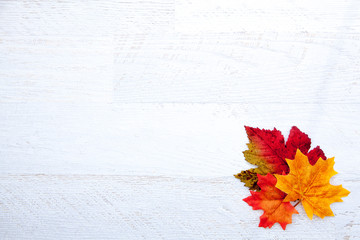 Wall Mural - Autumn Thanksgiving Background