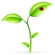 Leinwandbild Motiv Green sprout