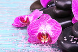 Fototapeta Dziecięca - Violet orchid and zen stones close-up