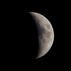 Wall Mural - first quarter moon