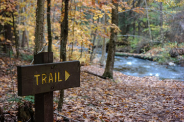 Pennsylvania Ricketts Glen State Park Landscape