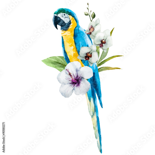 zolto-niebieska-papuga-akwarela
