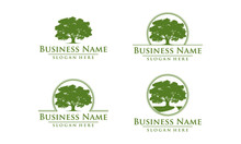 Oak, Tree, Logo
