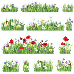 Green Grass With Flowers And Insects, Isolated On White Background, Vector Illustration