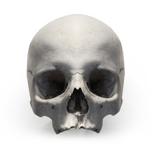 Human Skull On White Background.