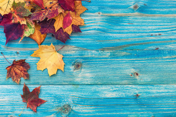 Autumn background with colorful leaves on wooden background