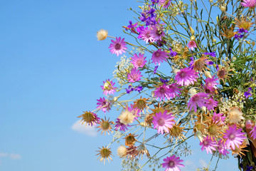 beautiful bouquet of bright wildflowers on blue background