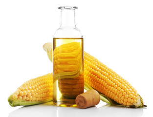 Wall Mural - Fresh corn with bottle of oil isolated on white