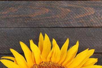 Poster - Beautiful sunflower on wooden background