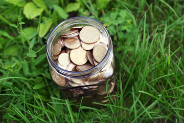 Poster - Coins in money jar on green grass outdoors