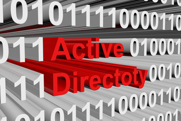 Active Directory is represented as a binary code