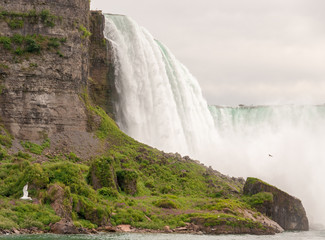 Sticker - Niagara Falls. Wonderful scenario of water and vegetation