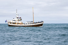 Imbarcazioni Per Avvistamento Balene Nella Baia Di Husavik, Islanda