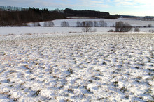Snowy Field.