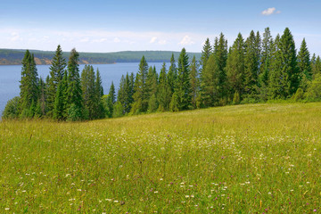 Wall Mural - sky forest river meadow hills