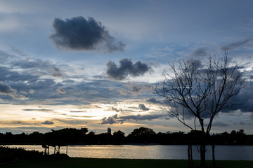 Wall Mural - Gray storm clouds at dusk during the rainy season of Thailand.