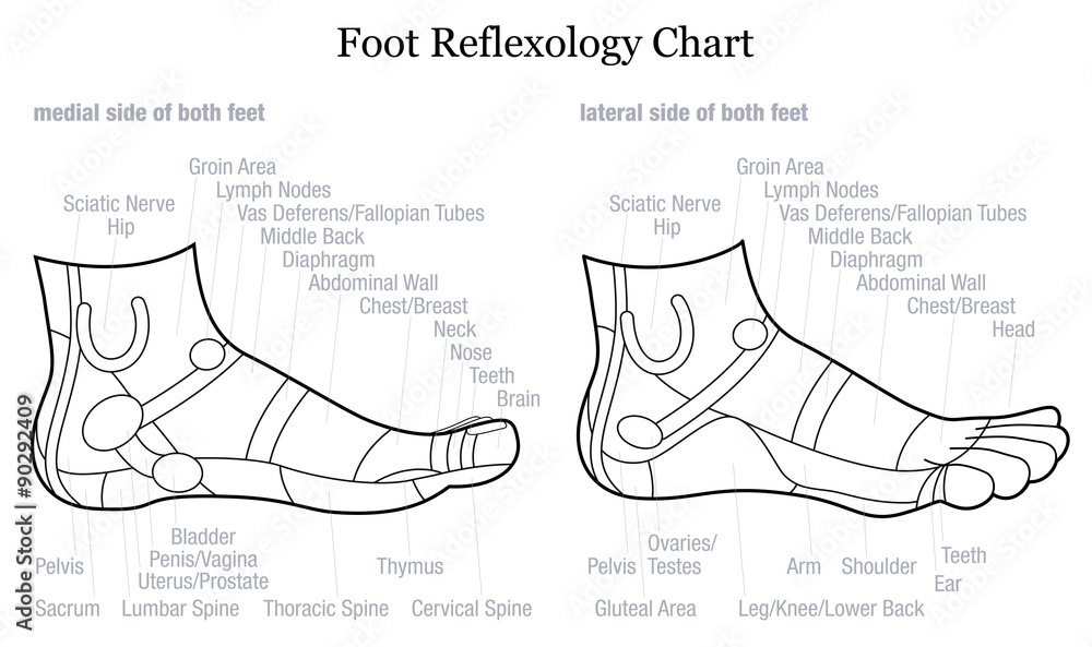Foot reflexology chart - medial-inside and lateral-outside view of the ...