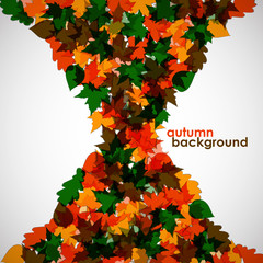 Wall Mural - autumn background of maple leaves. colorful vector image. eps 10