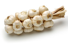 Bunch Of Garlic Bulbs 