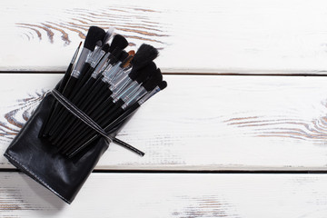 Brushes for a make-up.